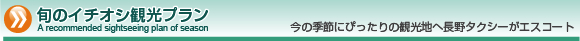 旬のイチオシ観光プラン
今の季節にぴったりの観光地へ長野タクシーがエスコート